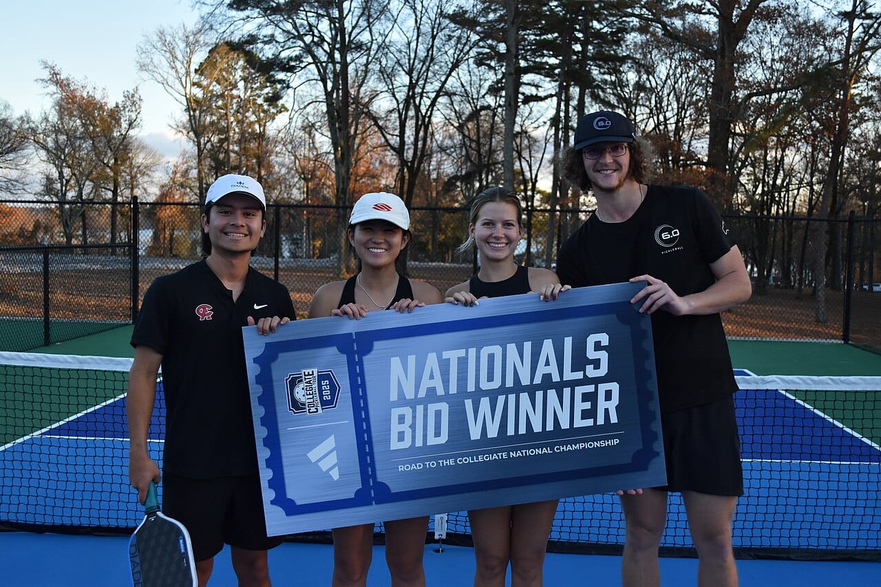 Vợt pickleball giá bao nhiêu? Hướng dẫn chọn vợt theo ngân sách 2026